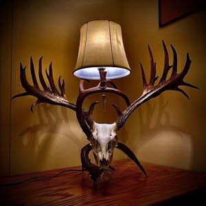 Antler Lamps
